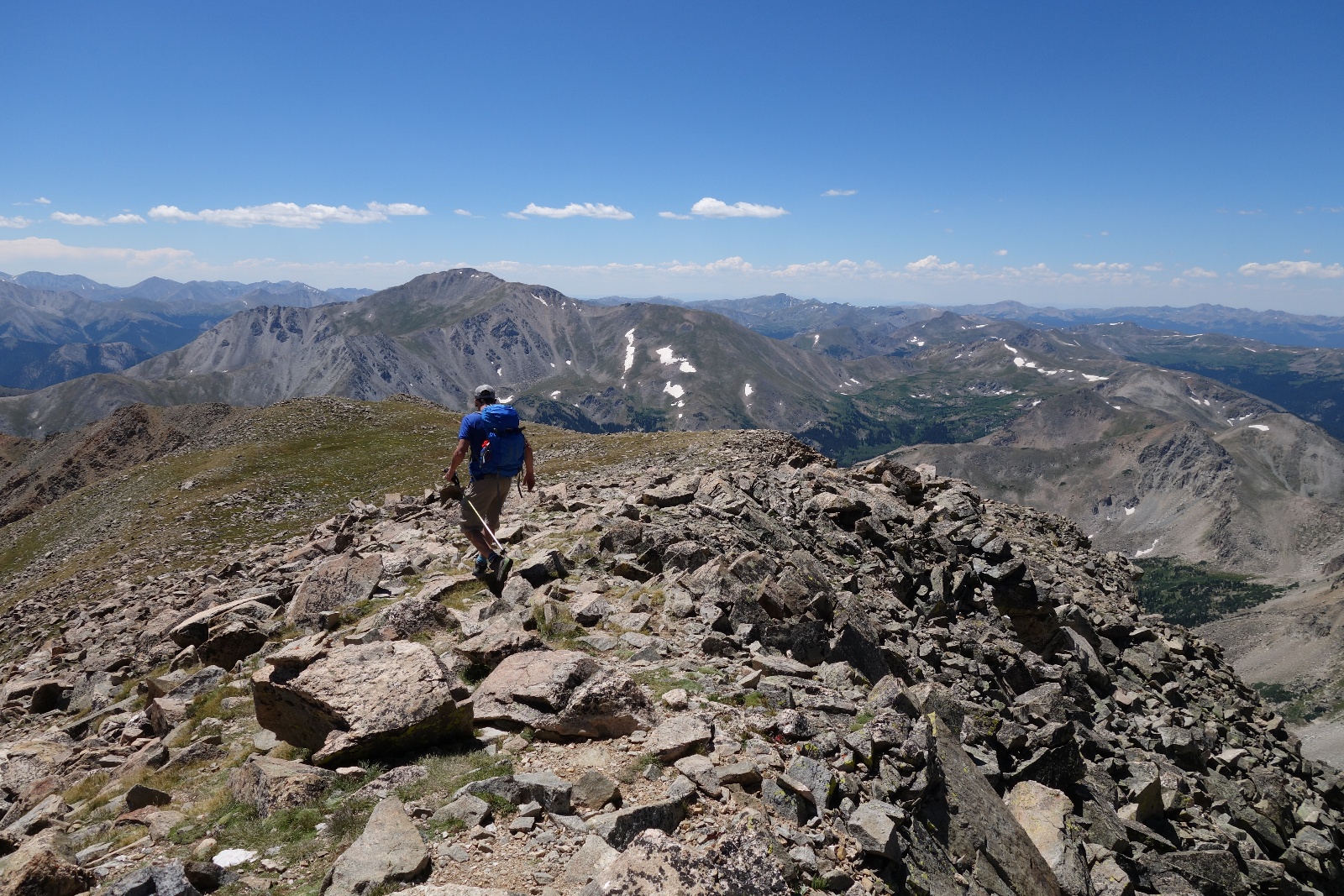 Harvard columbia 24