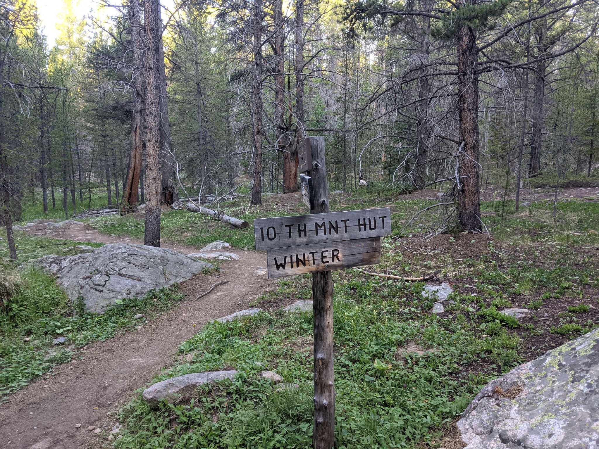 Homestake 03
