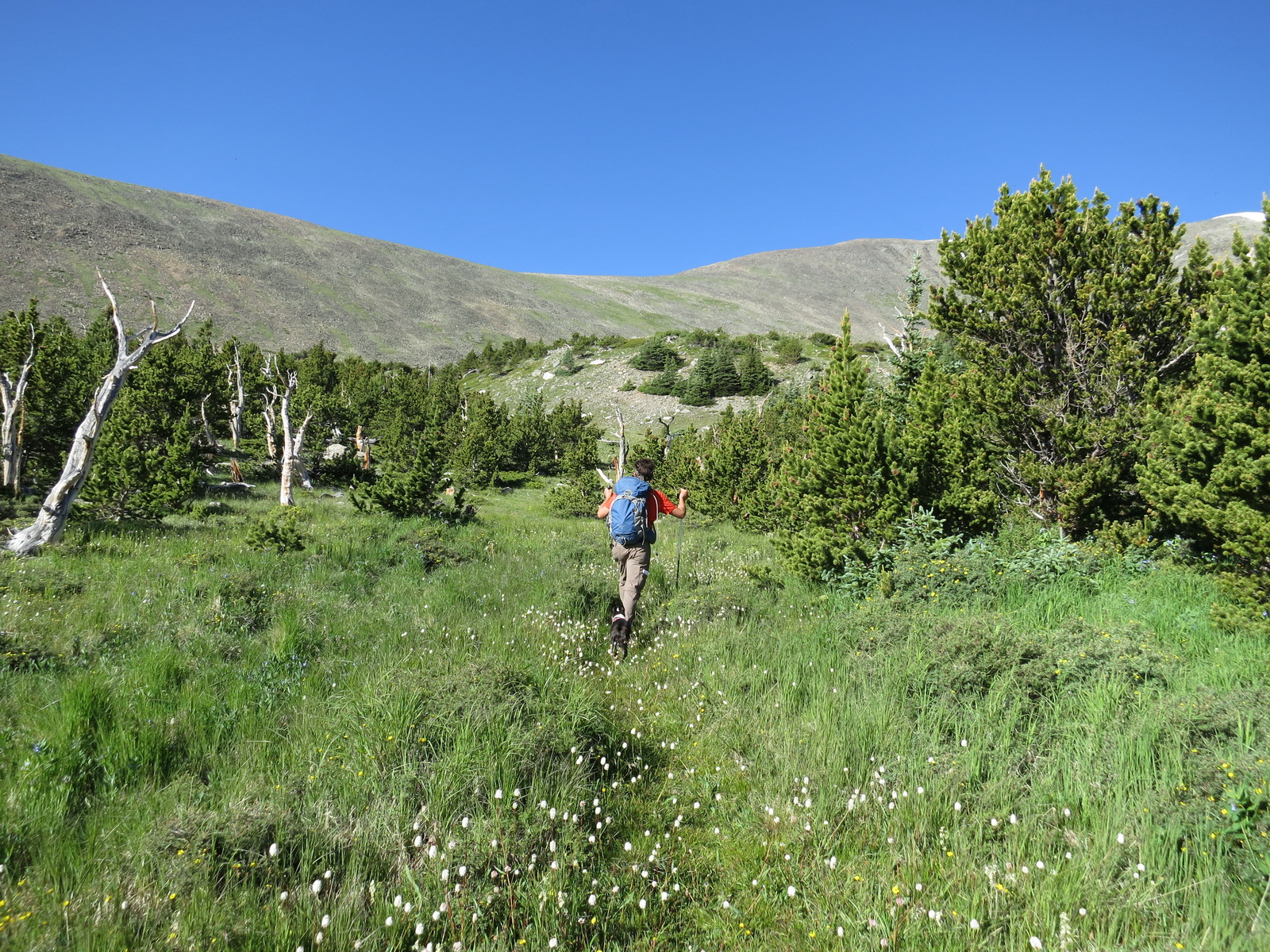 Mount ouray 03