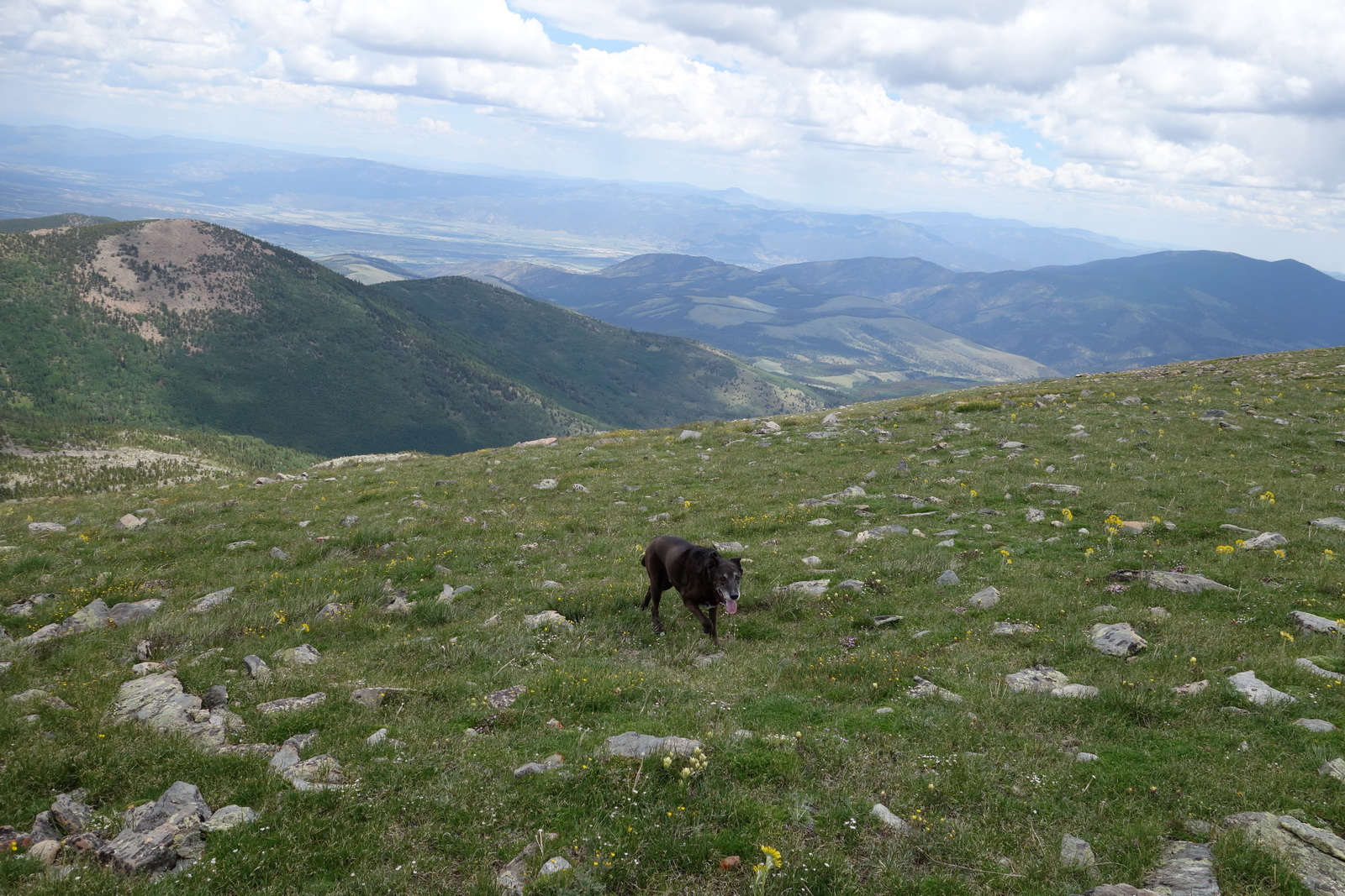 Mount ouray 08