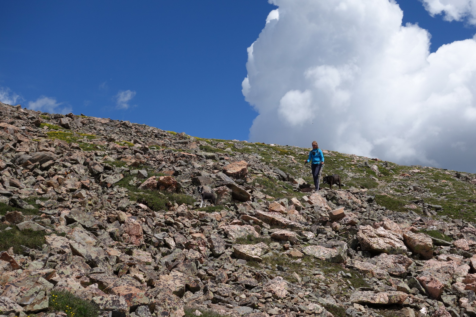 Mount ouray 17