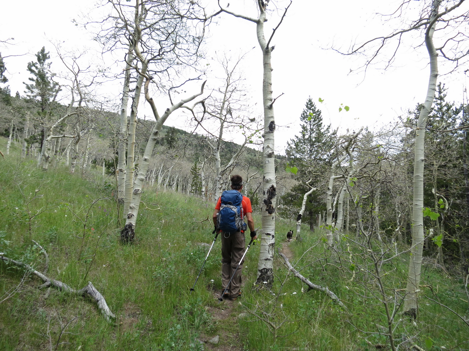 Mount ouray 18