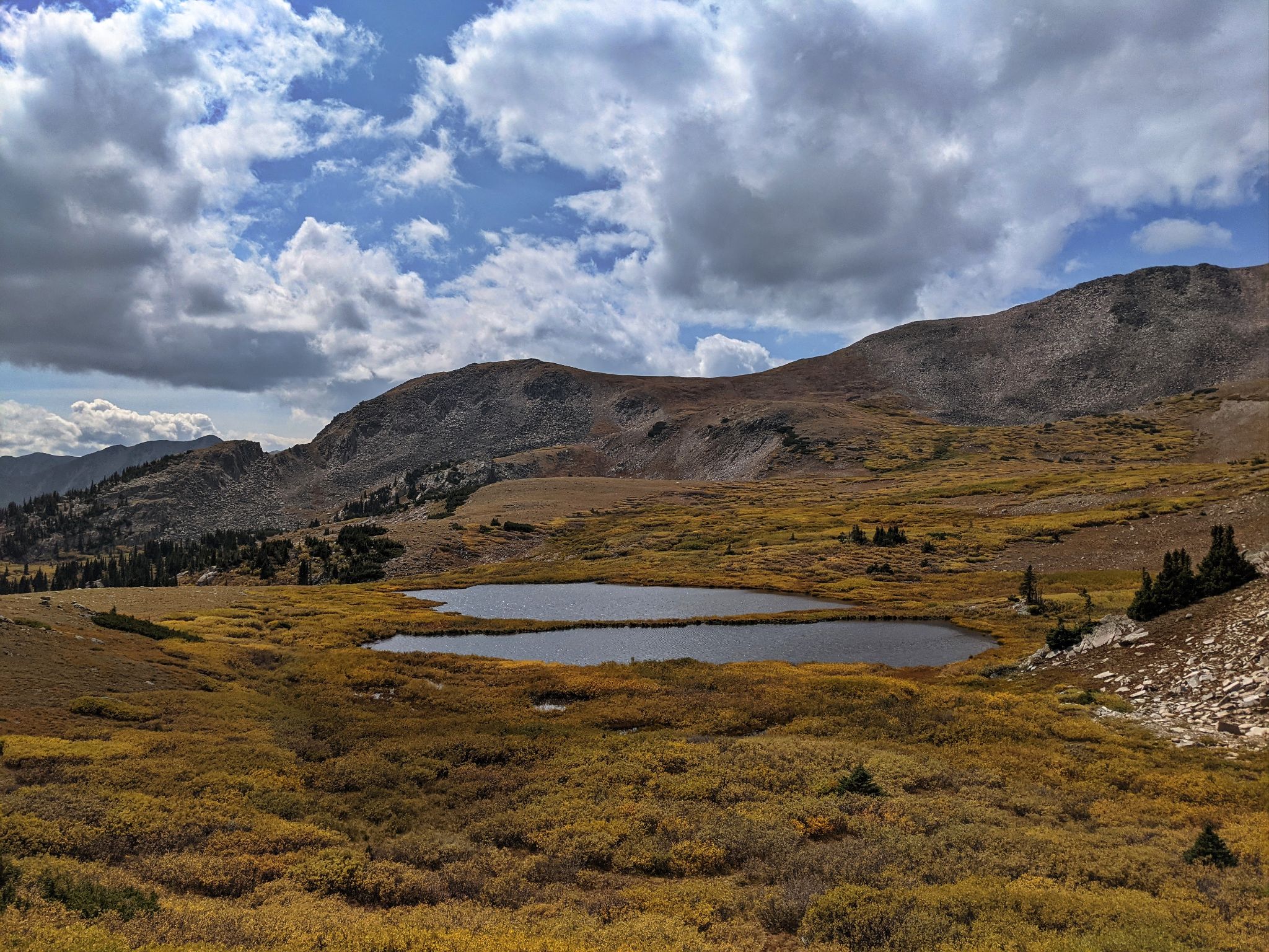 Tincup loop 21