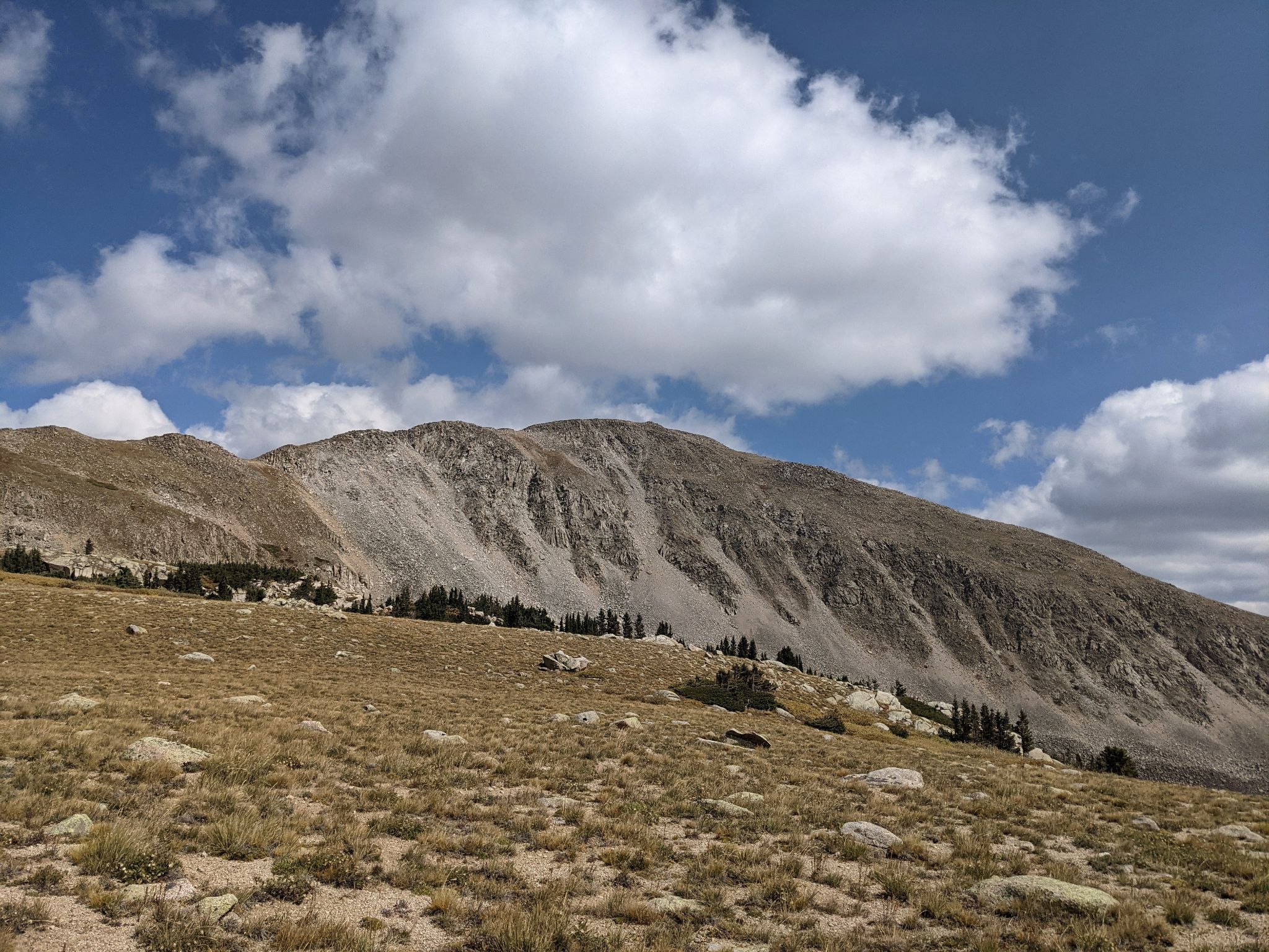 Tincup loop 22