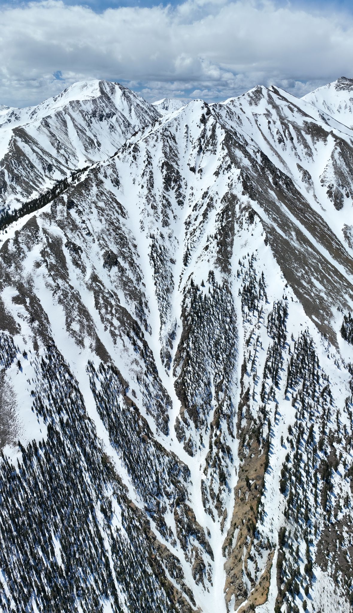 Twin peaks 2 01c