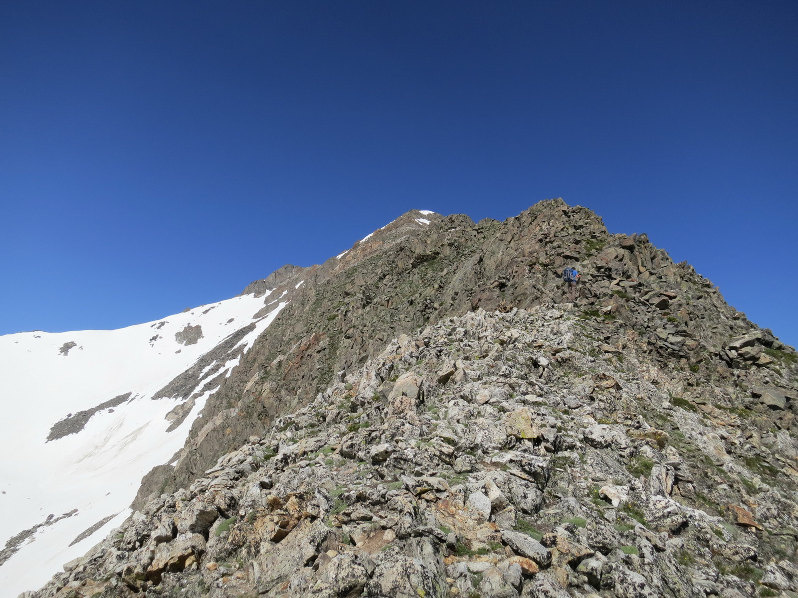 Crystal peak father dyer 007