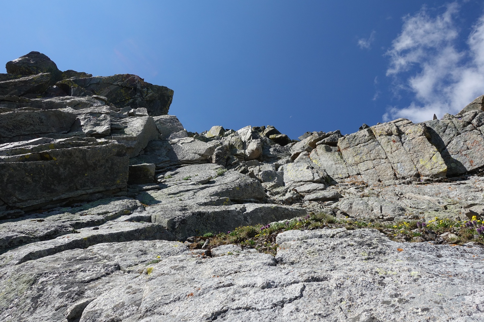 Fletcher mountain 24
