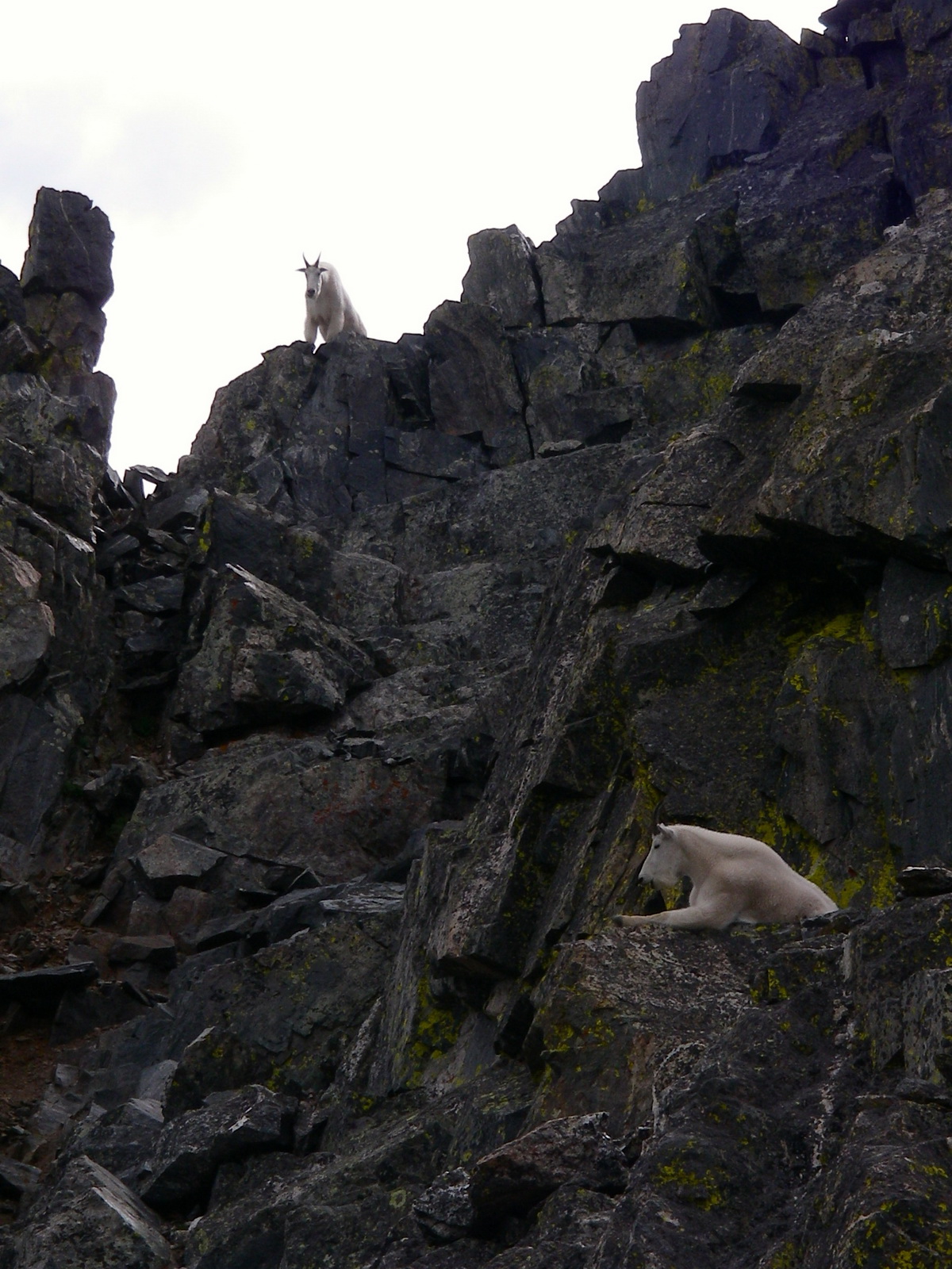 Quandry west ridge 12