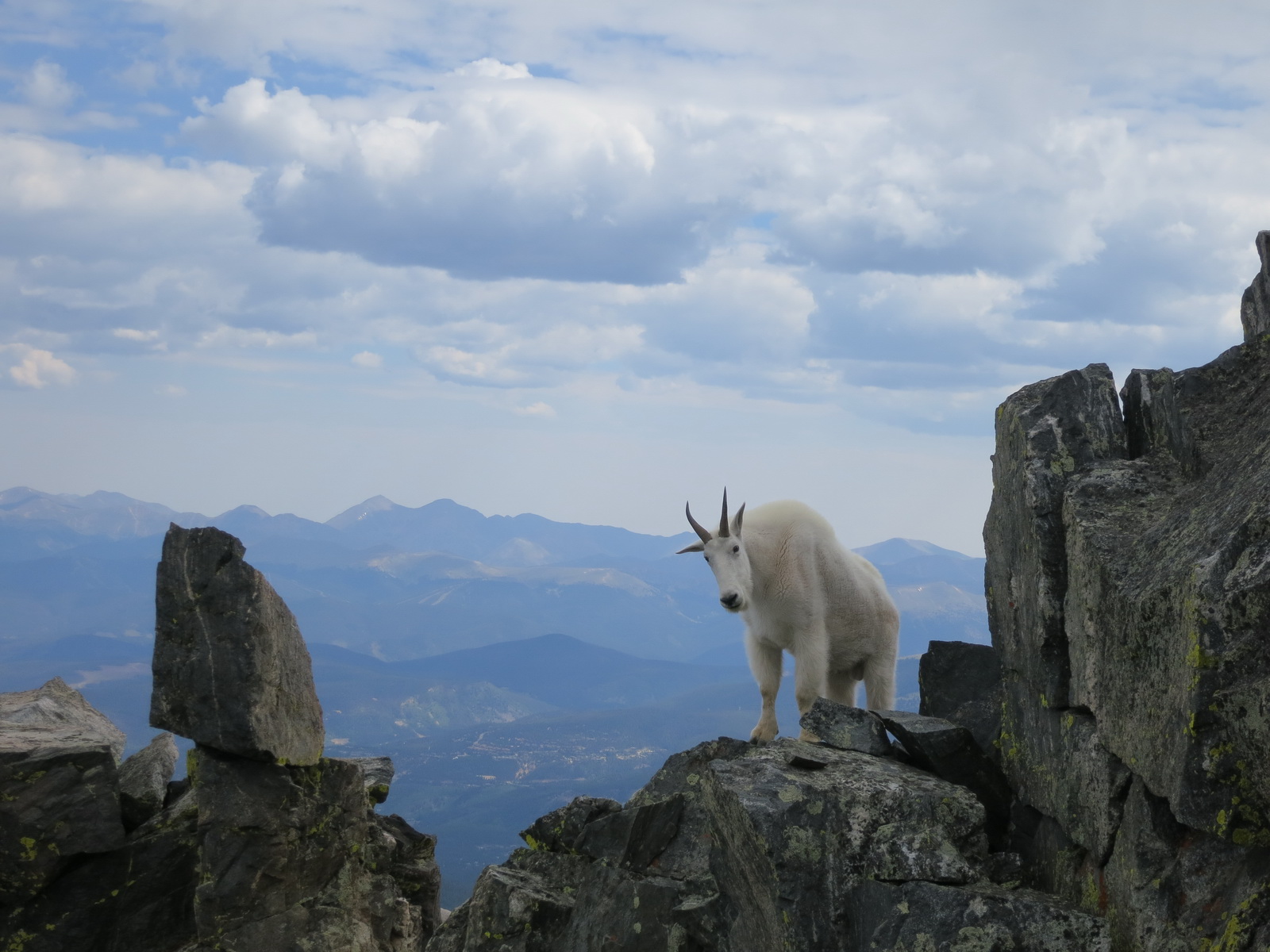 Quandry west ridge 14