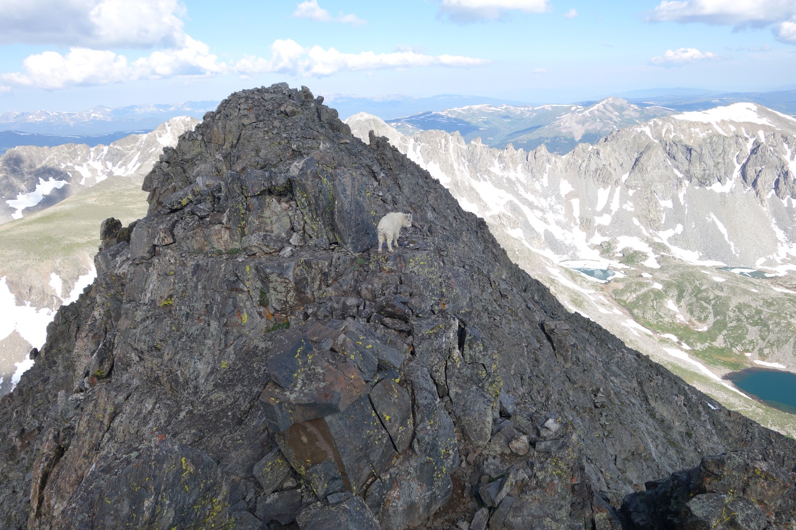 Quandry west ridge 14k