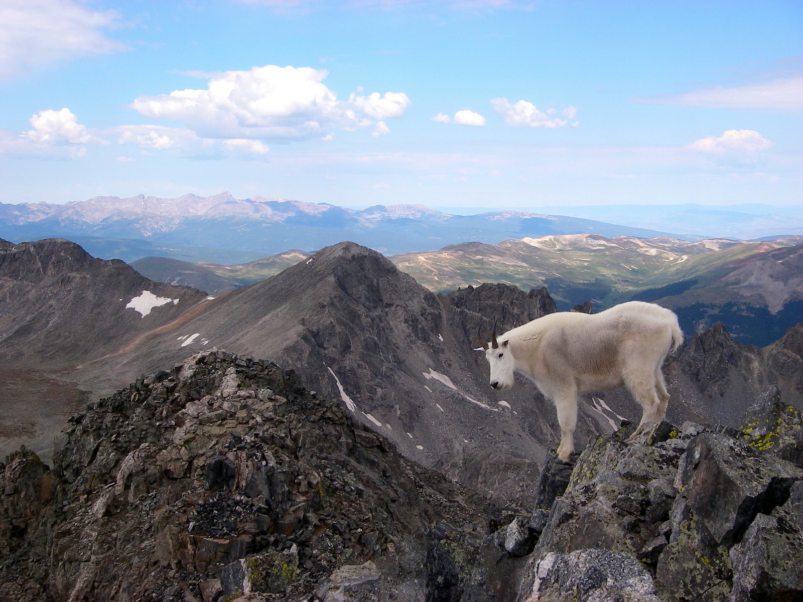Quandry west ridge 24
