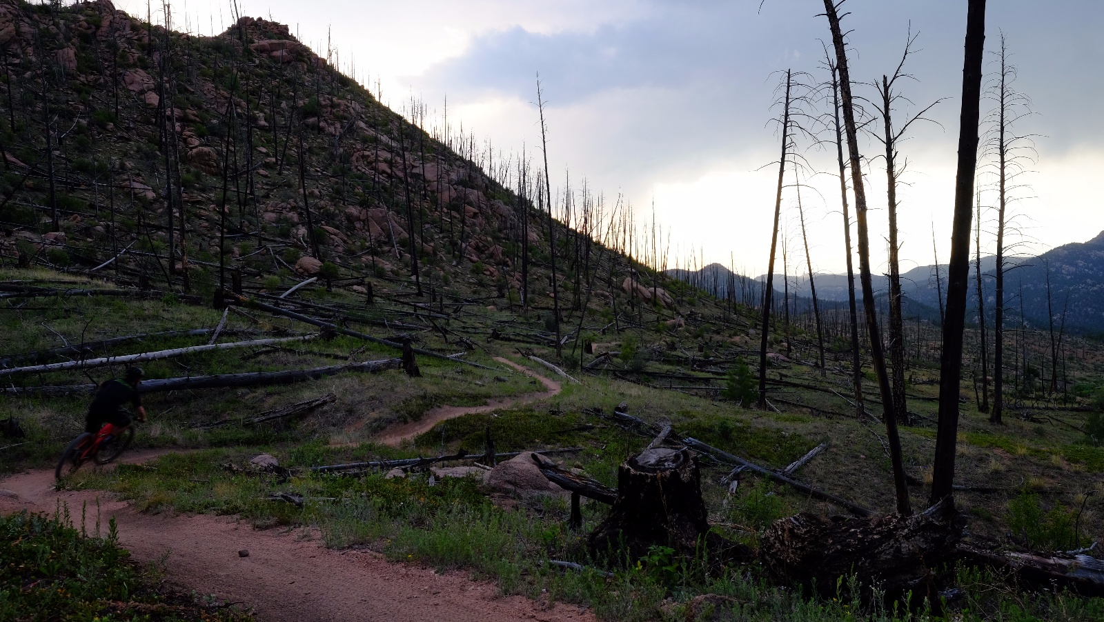 Buffalo creek mtb 18