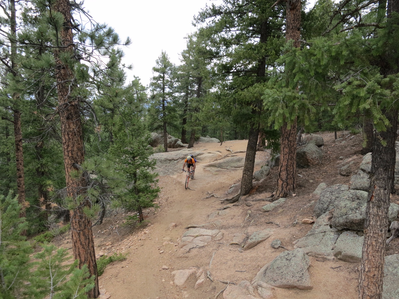 Buffalo creek mtb 21