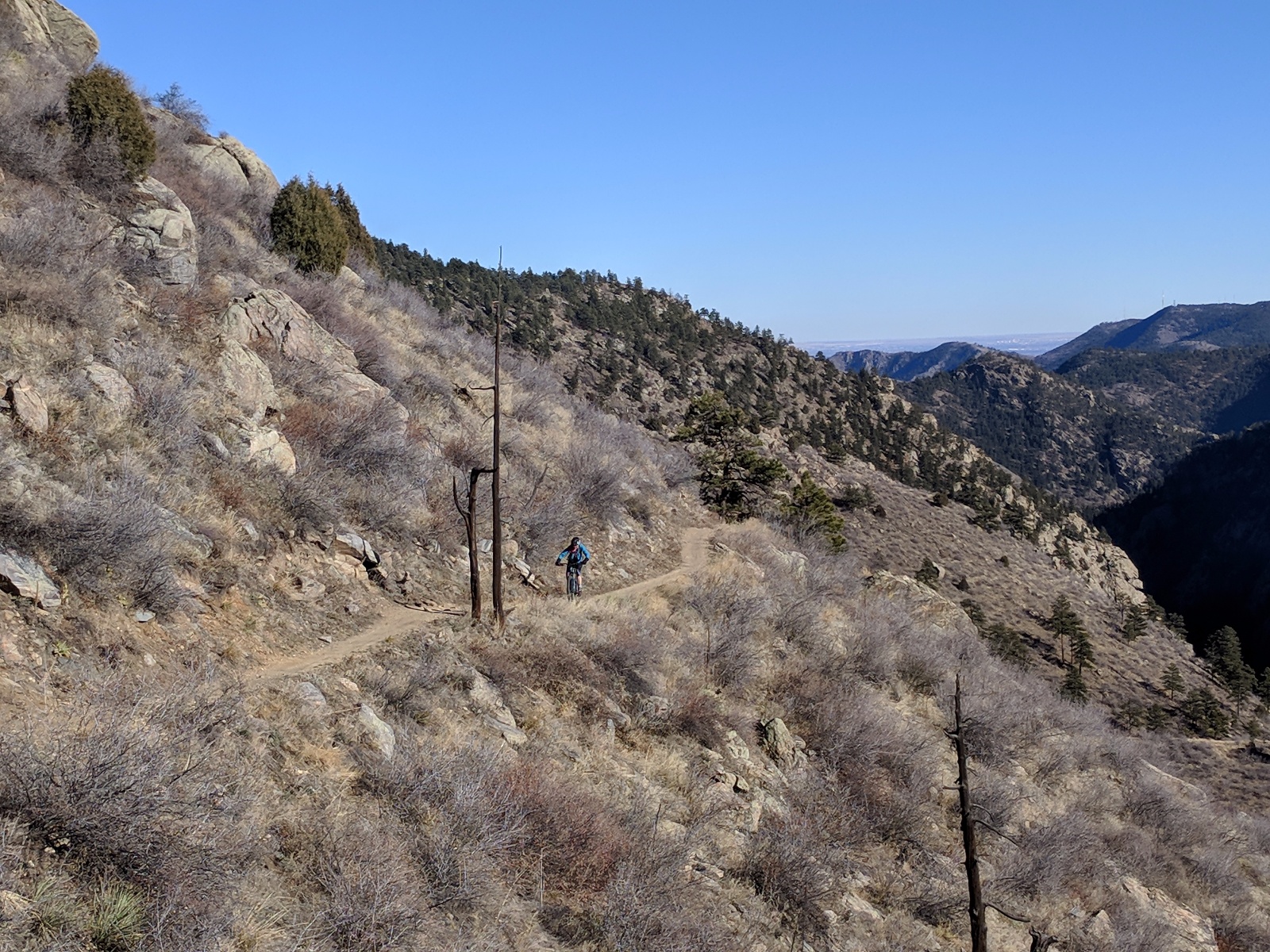 Centennialcone 19