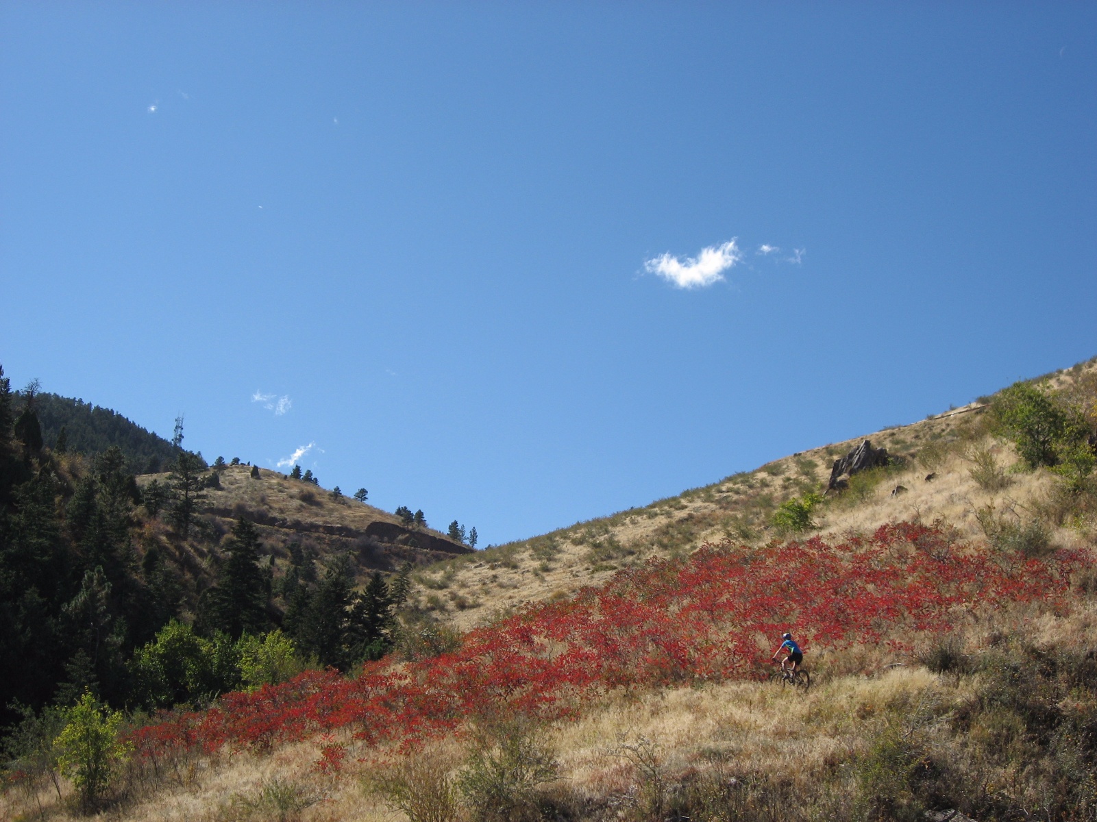 Chimneygulch0007