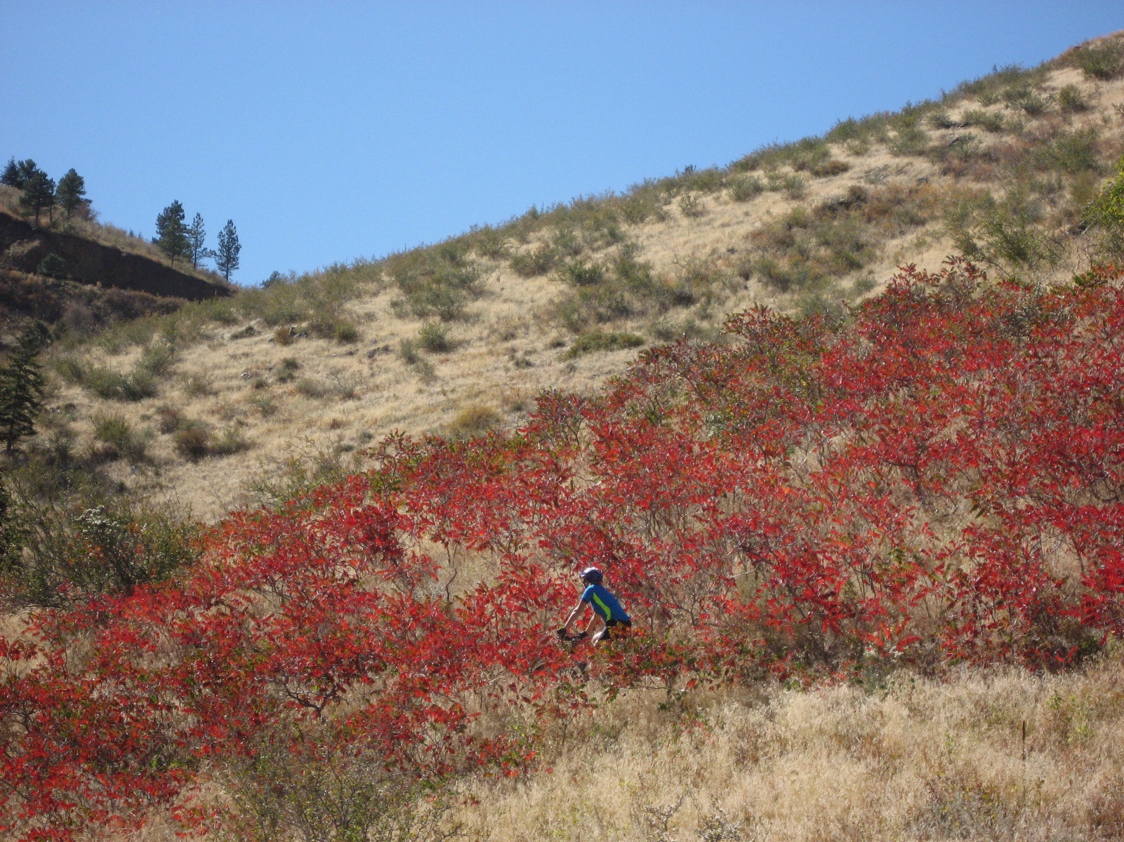 Chimneygulch0008