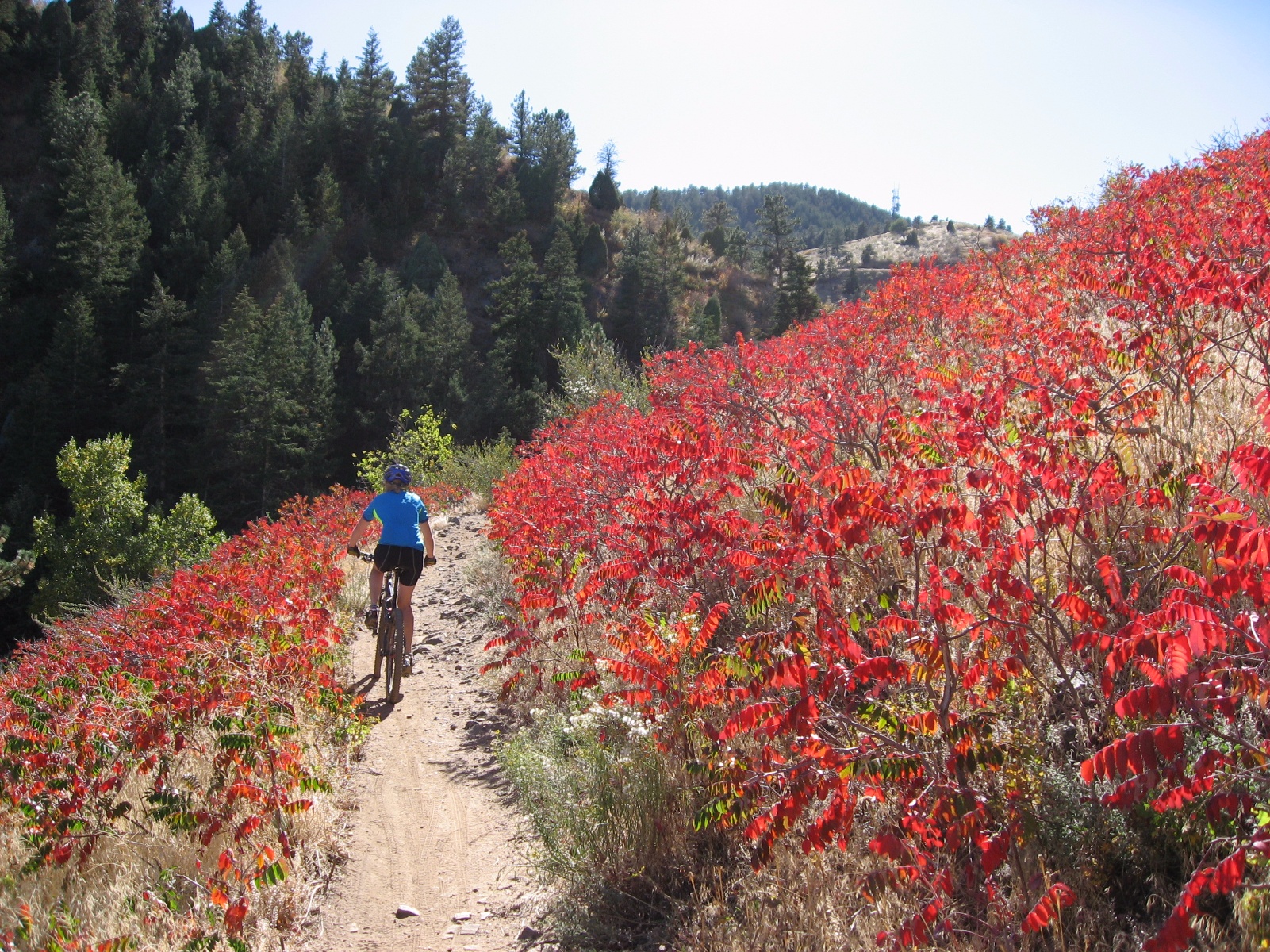 Chimneygulch0009