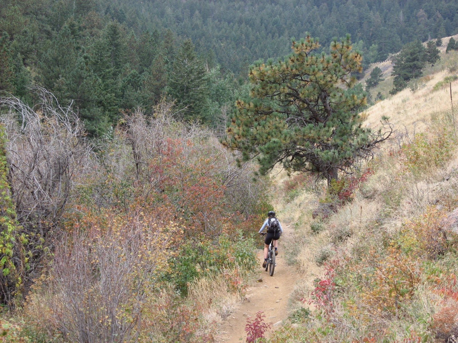 Chimneygulch0011
