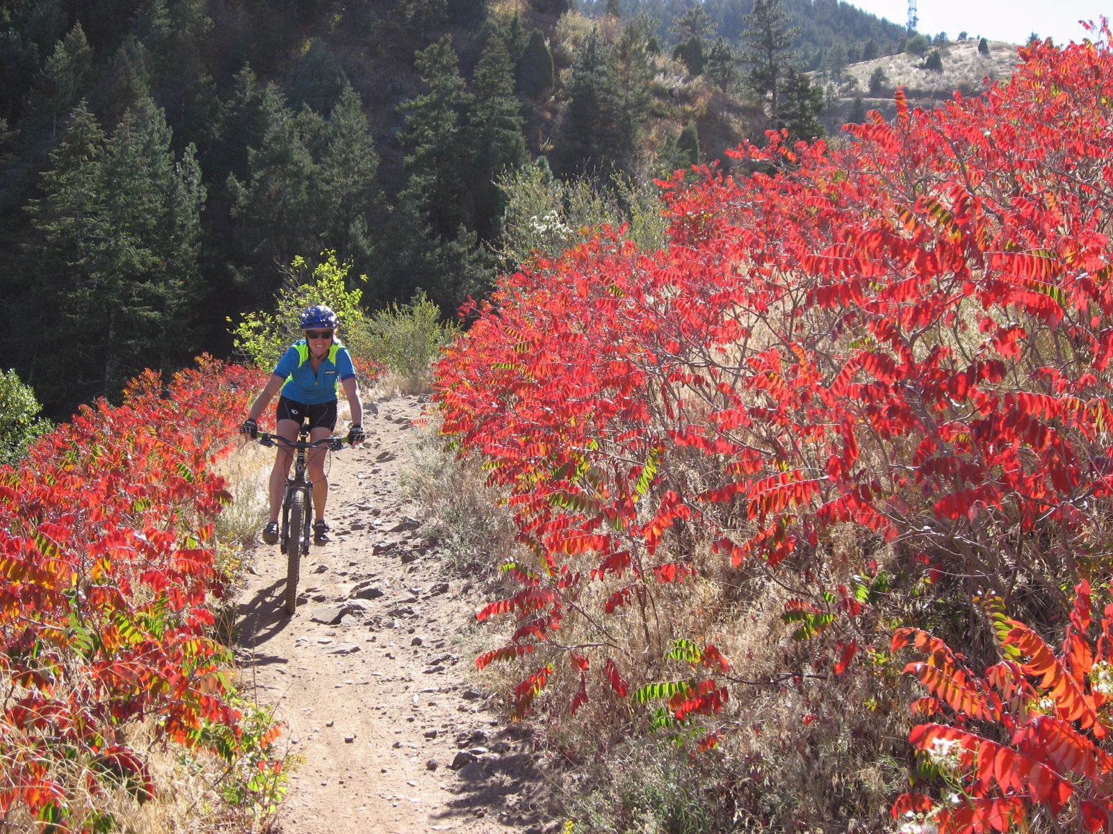 Chimneygulch0023
