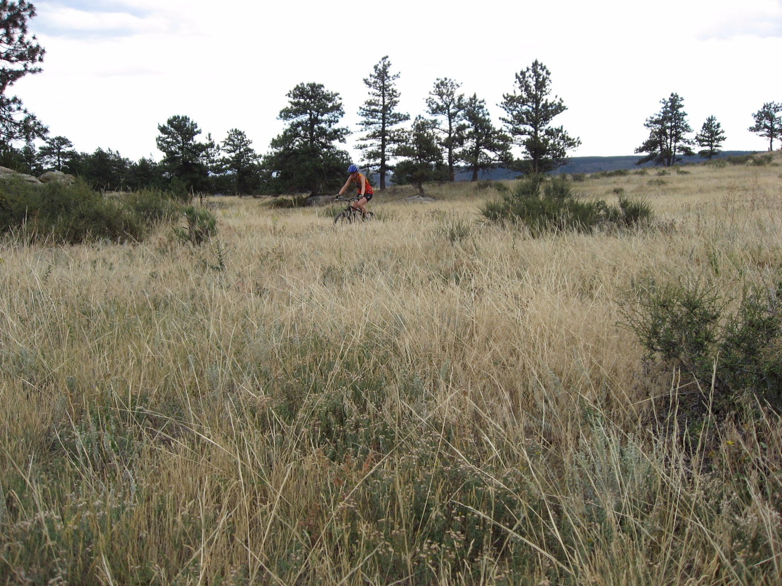 Hallranch0007