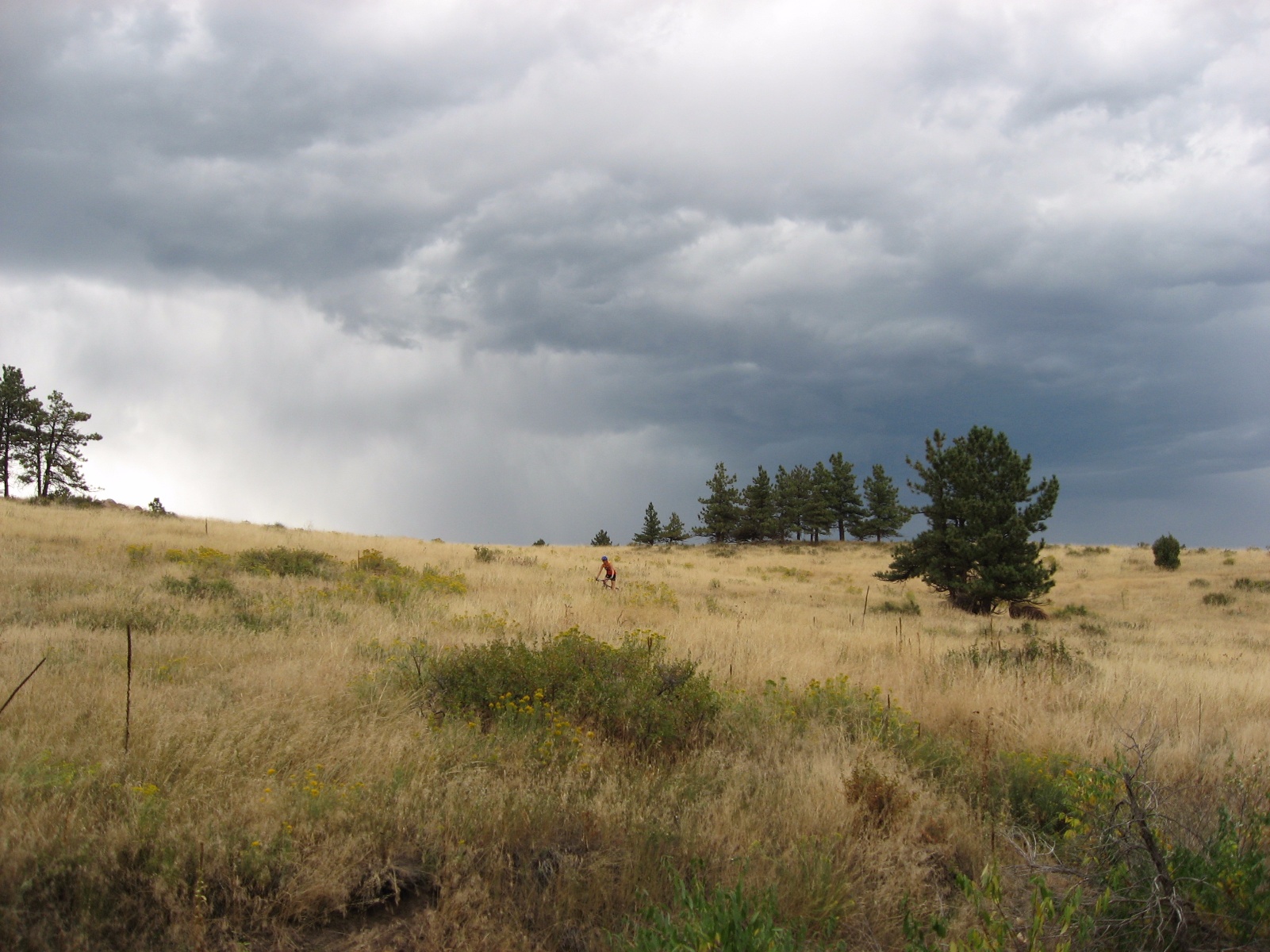 Hallranch0009