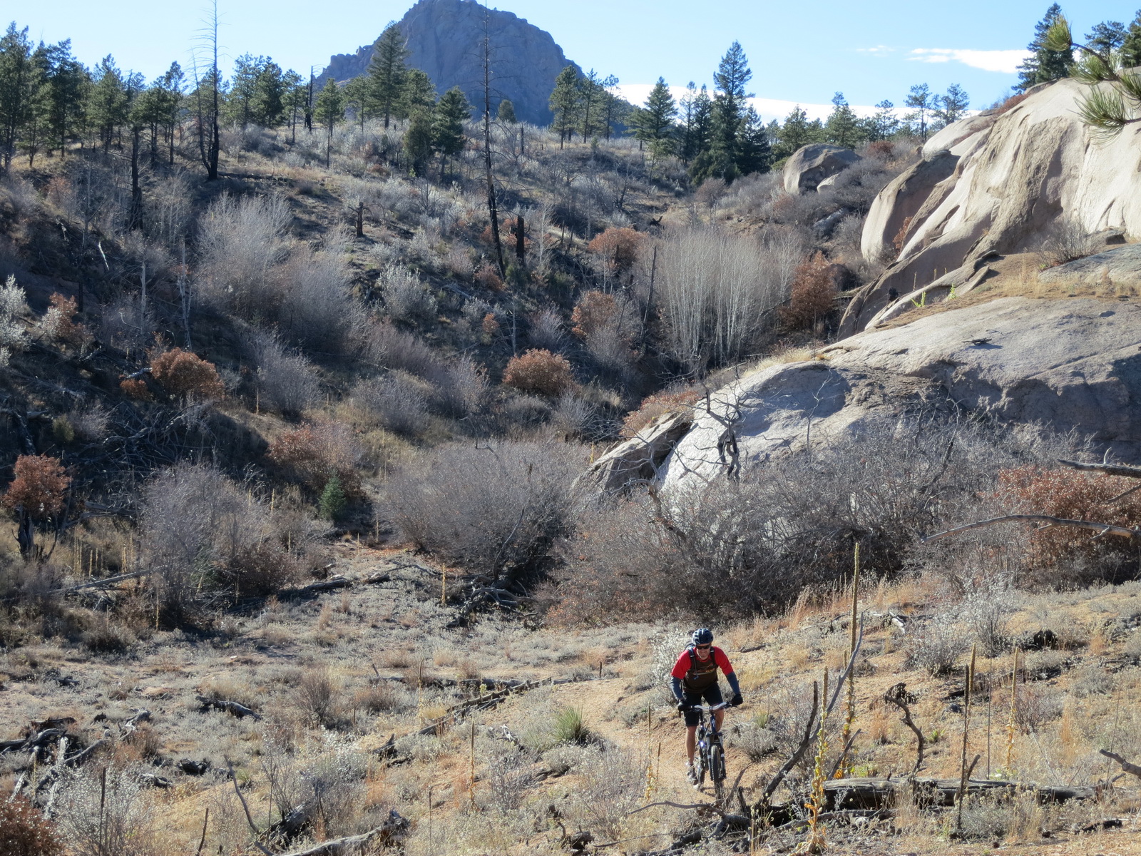Wellington to Waterton Colorado Trail Colorado Mountain Biking
