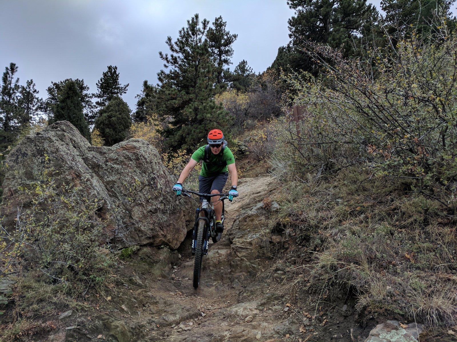 White ranch 55