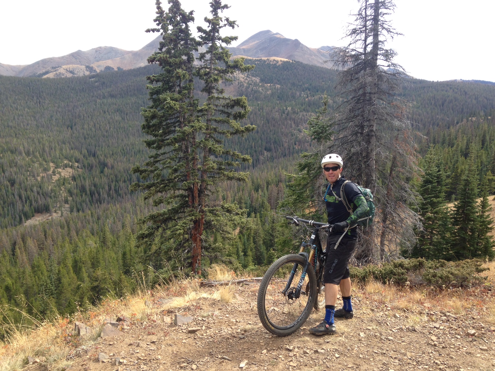 Monarch crest 18
