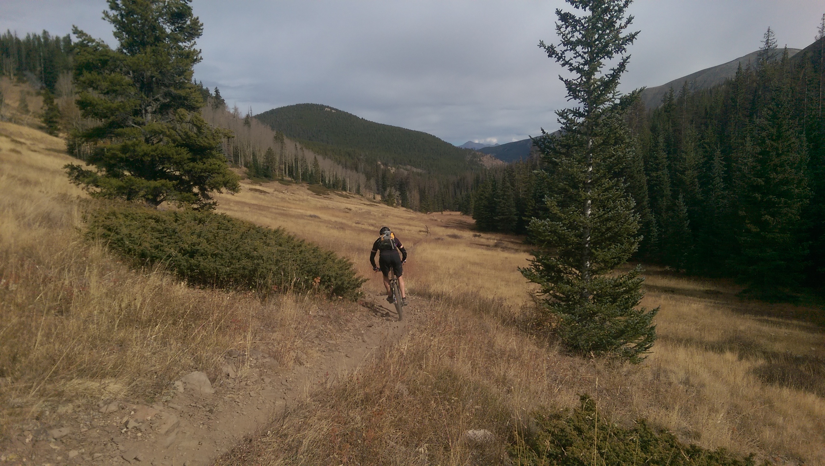 Monarch crest 19