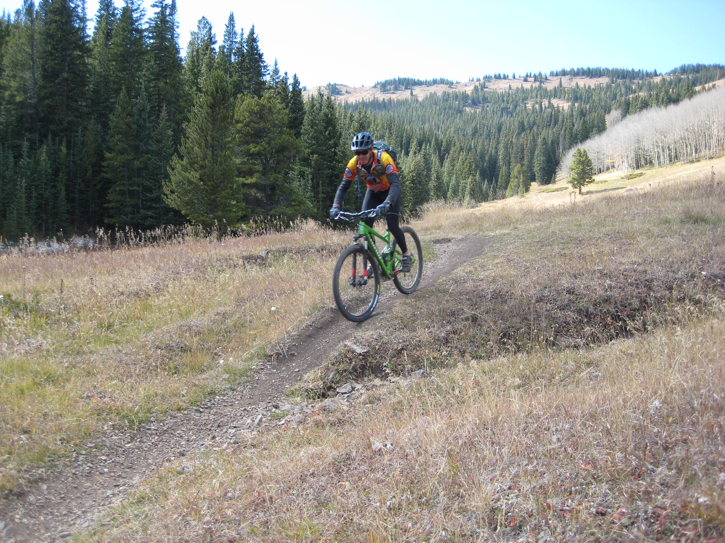 Monarch crest 23