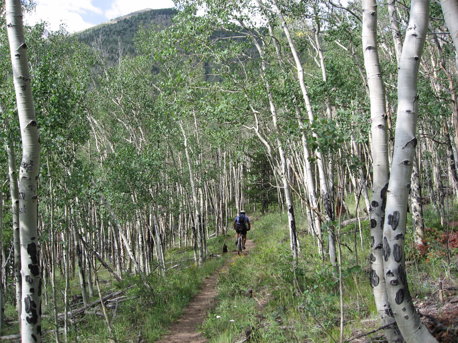 IMG 0955