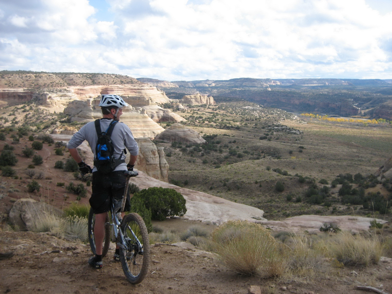 Fruita 05