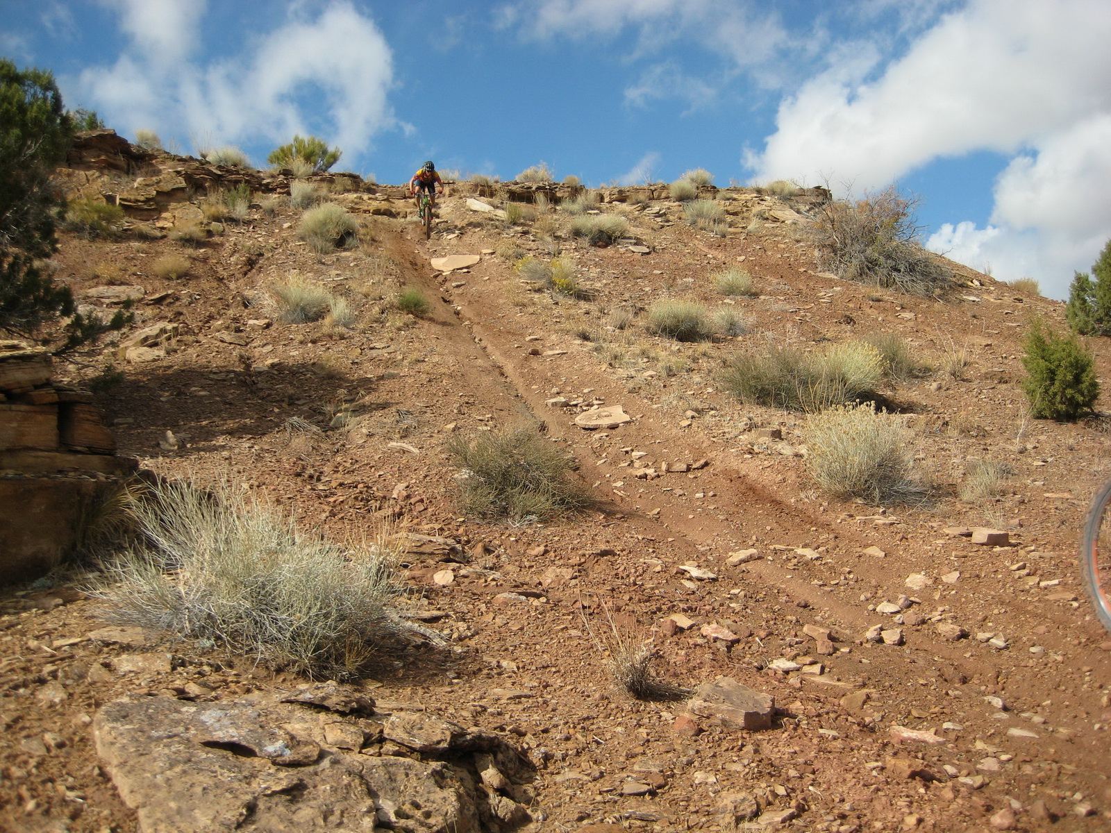 Fruita 07