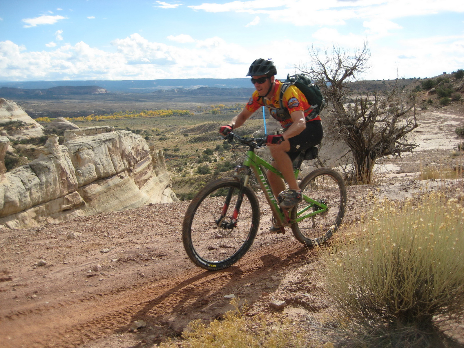 Fruita 08