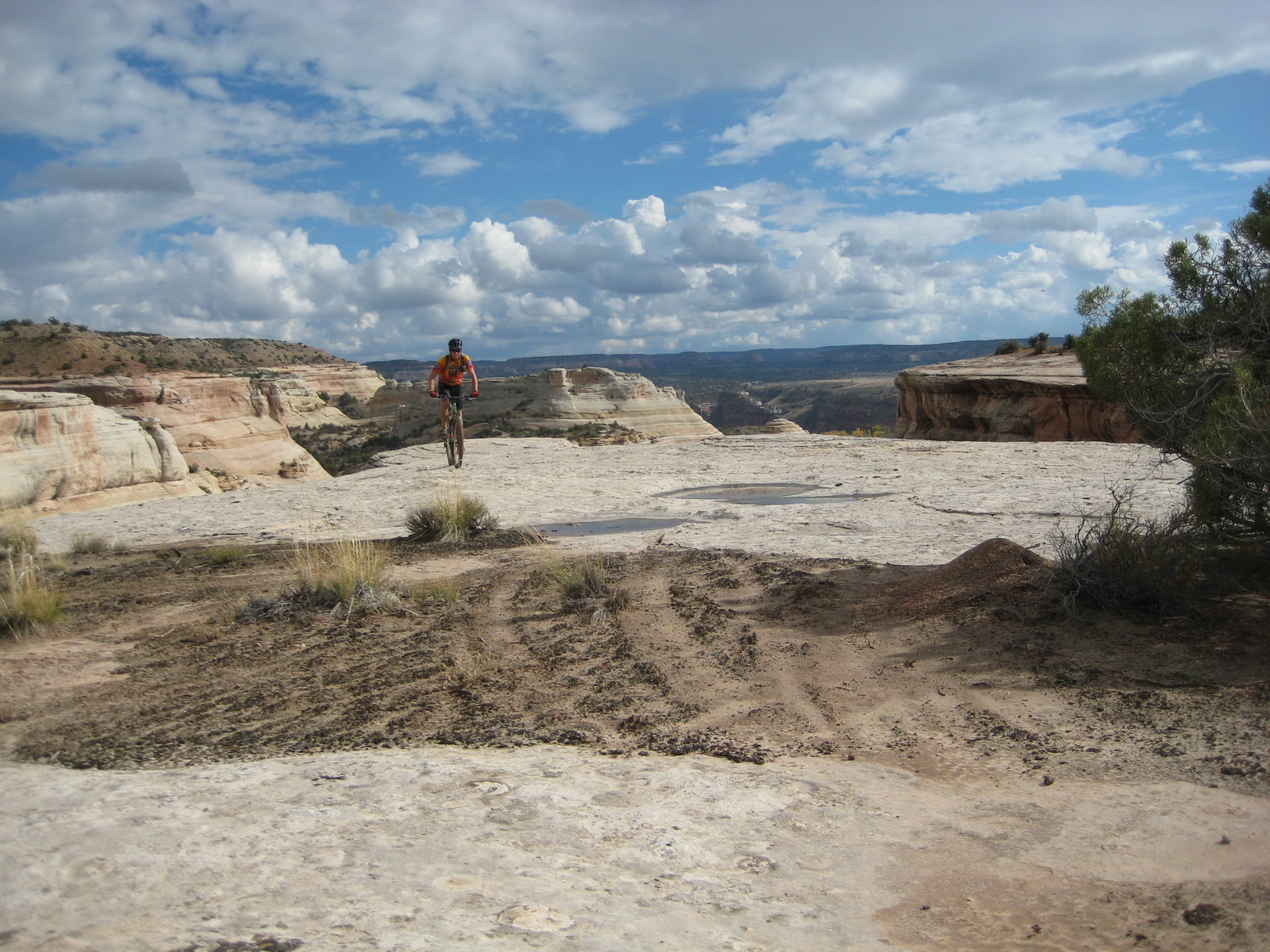 Fruita 10