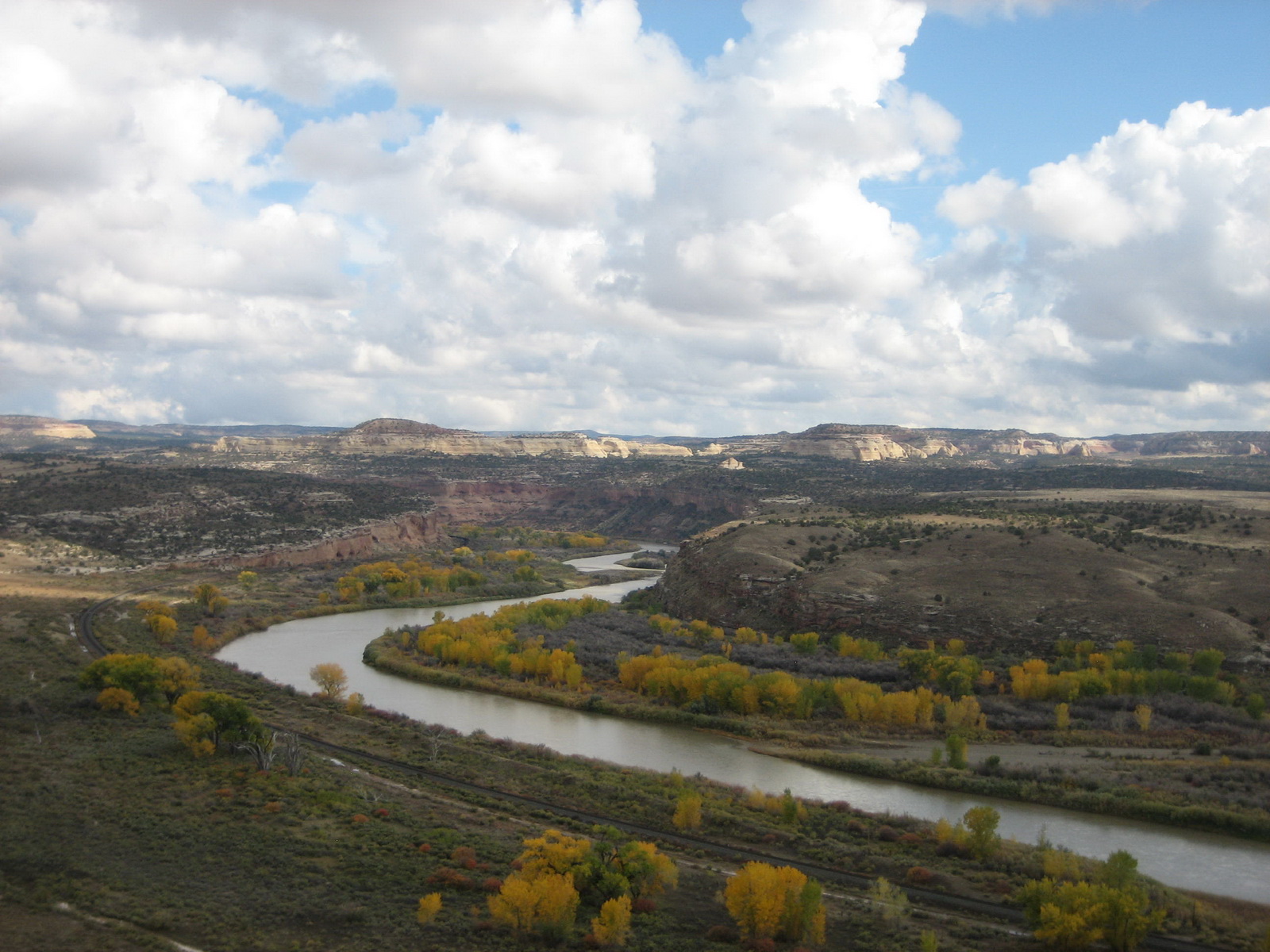 Fruita 11