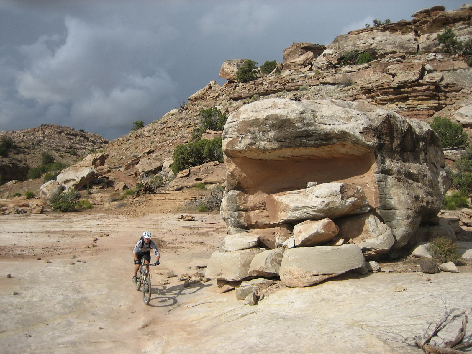 Fruita 12