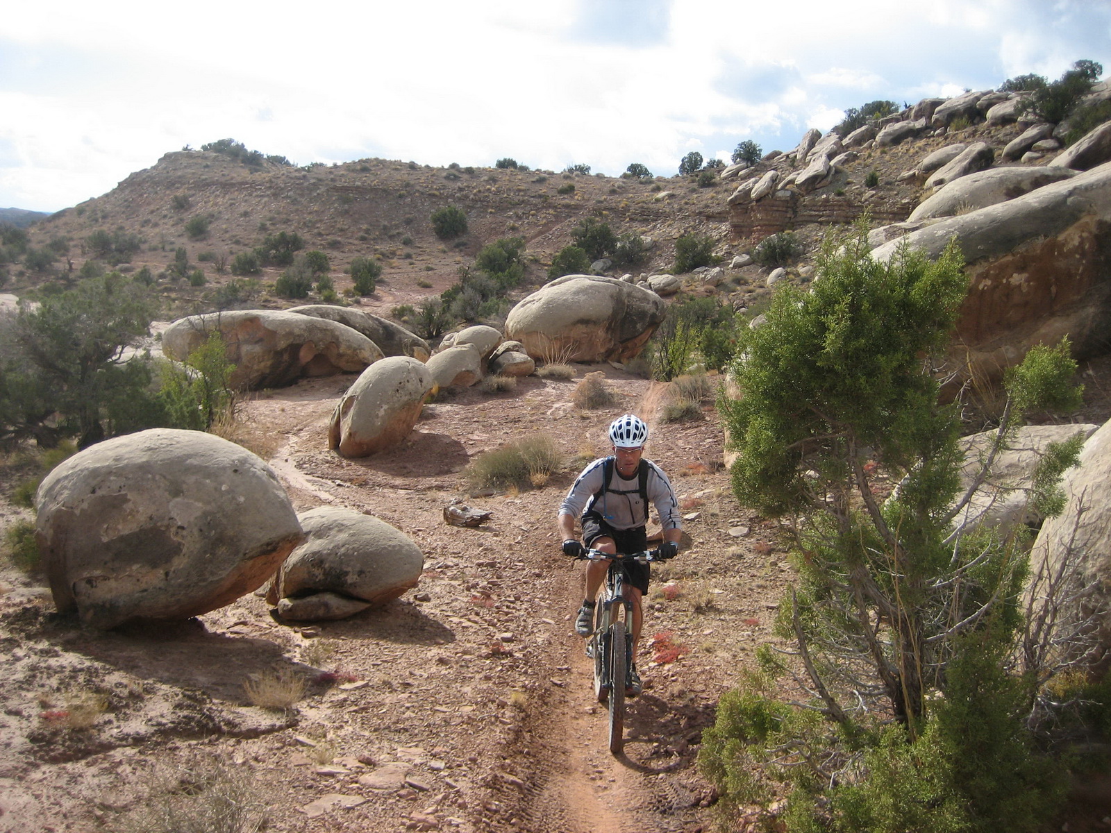 Fruita 14