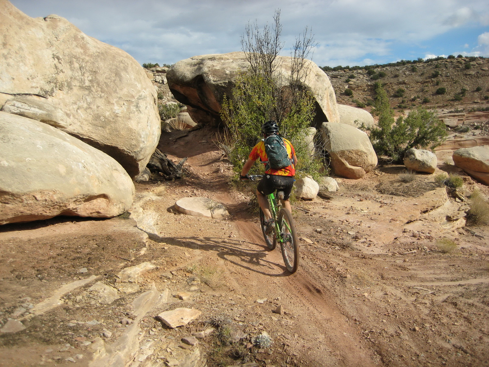 Fruita 15