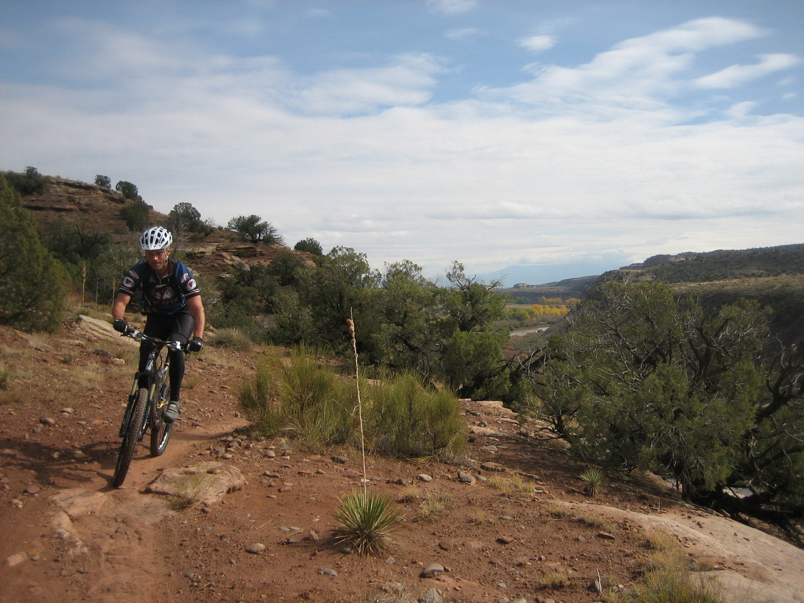 Fruita 16