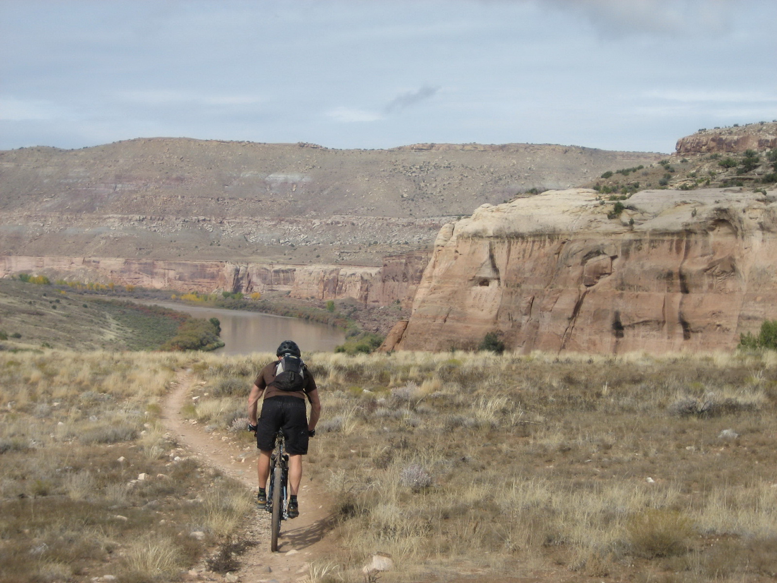Fruita 18