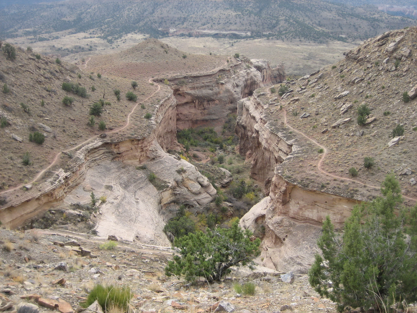 Fruita 20