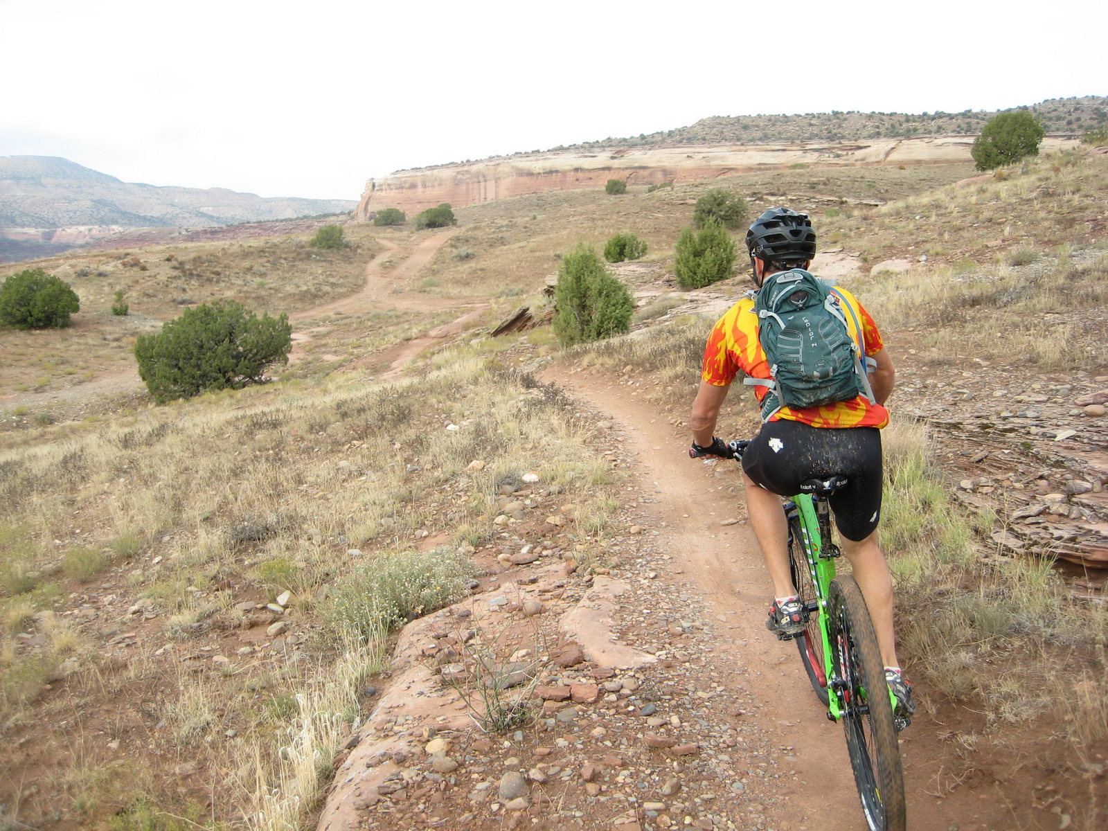 Fruita 22