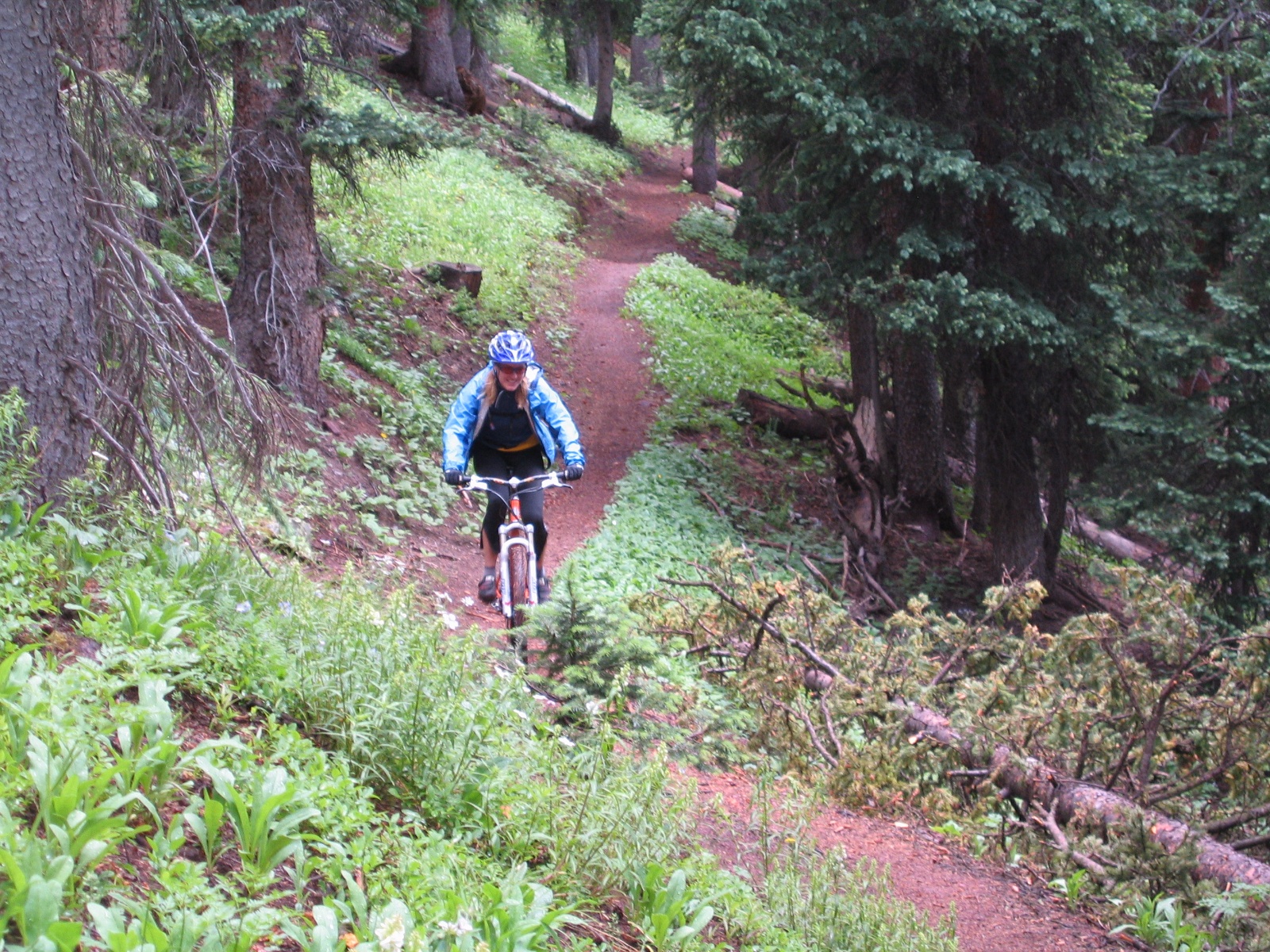 Mtn sanjuan0019