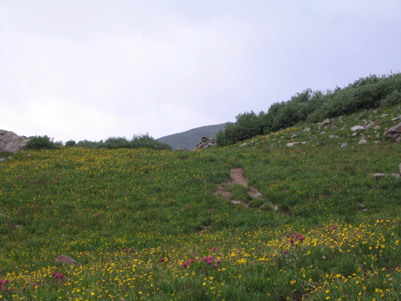 Mtn sanjuan0022