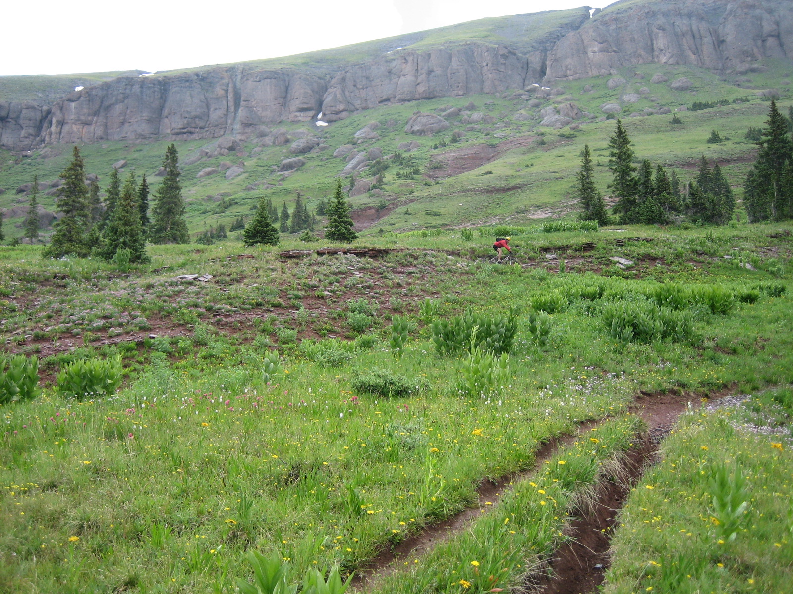 Mtn sanjuan0024