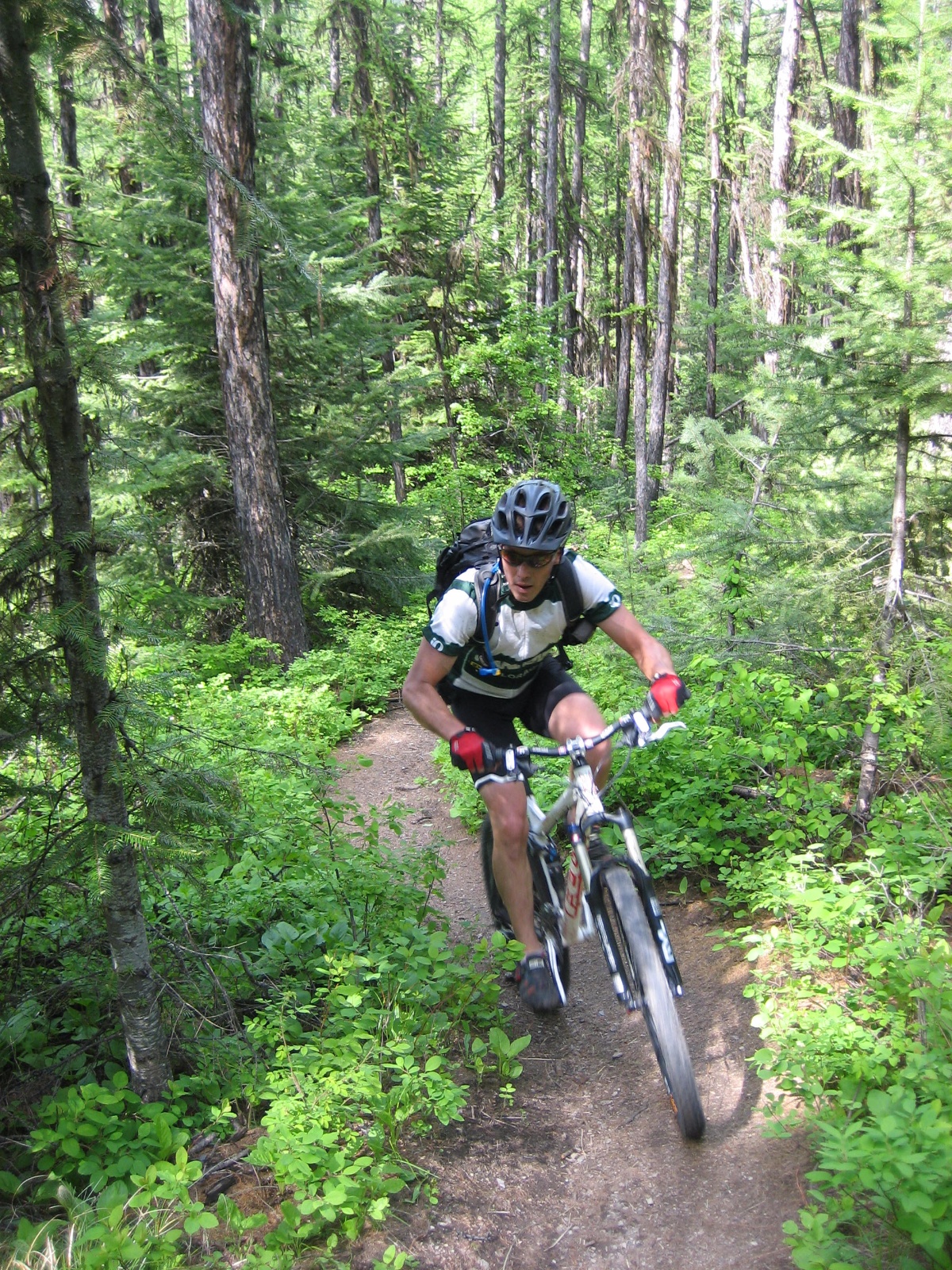 Missoula0004