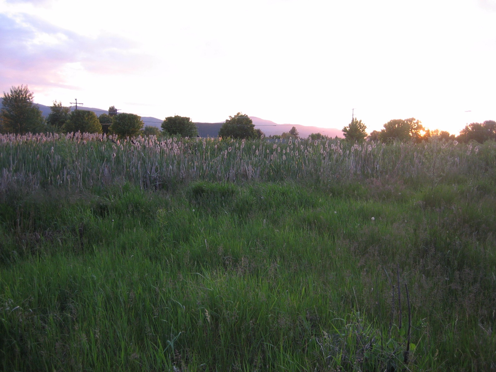 Missoula0010