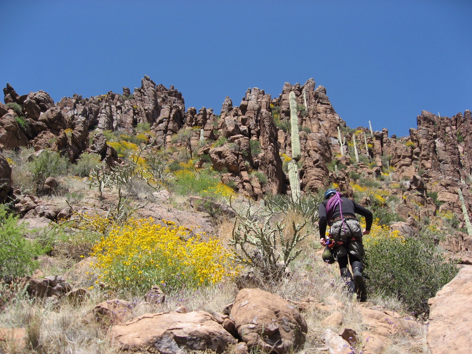 Devils canyon arizona 13