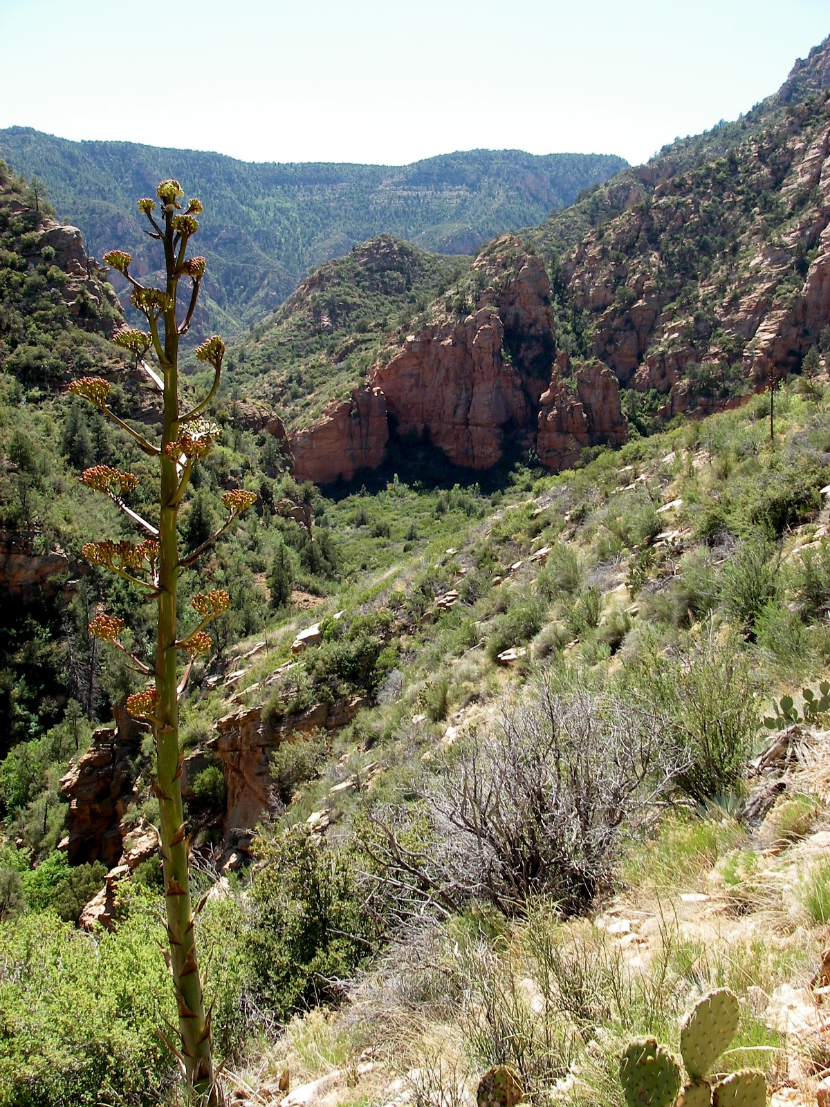Az 2009 0023